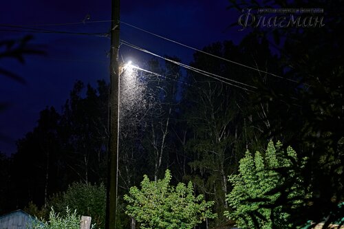 DSC05708